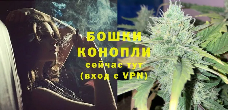 цена   Шлиссельбург  Каннабис OG Kush 